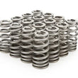 Load image into Gallery viewer, PAC Racing Springs 1.345 Valve Springs - Ovate Beehive (16) PAC-1232X-16