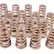 Load image into Gallery viewer, PAC Racing Springs 1.454 Valve Springs - Ovate Beehive (16) PAC-1427-16