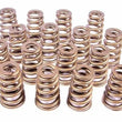 Load image into Gallery viewer, PAC Racing Springs 1.454 Valve Springs - Ovate Beehive (16) PAC-1427-16
