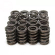 Load image into Gallery viewer, PAC Racing Springs 1.490 Dual Valve Springs (16) PAC-1914-16
