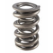 Load image into Gallery viewer, PAC Racing Springs 1.500 Dual Valve Spring (1) PAC-1355