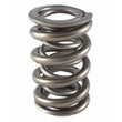 Load image into Gallery viewer, PAC Racing Springs 1.500 Dual Valve Spring (1) PAC-1355-1