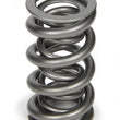 Load image into Gallery viewer, PAC Racing Springs 1.500 Dual Valve Spring (1) PAC-1357-1