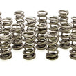 Load image into Gallery viewer, PAC Racing Springs 1.500 Dual Valve Springs (16) PAC-1355H-16