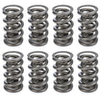 Load image into Gallery viewer, PAC Racing Springs 1.500 Dual Valve Springs (16) PAC-1356-16