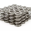 Load image into Gallery viewer, PAC Racing Springs 1.522 Dual Valve Springs (16) PAC-1359-16