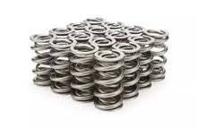Load image into Gallery viewer, PAC Racing Springs 1.522 Dual Valve Springs (16) PAC-1359-16