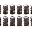 Load image into Gallery viewer, PAC Racing Springs 1.538 Dual Valve Springs w/Damper (16) PAC-1916-16
