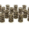 Load image into Gallery viewer, PAC Racing Springs 1.539 Dual Valve Springs (16) PAC-1227-16
