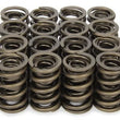 Load image into Gallery viewer, PAC Racing Springs 1.539 Dual Valve Springs w/Damper (16) PAC-1297-16