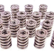 Load image into Gallery viewer, PAC Racing Springs 1.545 Dual Valve Springs (16) PAC-1294-16