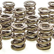 Load image into Gallery viewer, PAC Racing Springs 1.550 Dual Valve Springs (16) PAC-1226-16