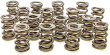 Load image into Gallery viewer, PAC Racing Springs 1.550 Dual Valve Springs (16) PAC-1226-16