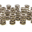Load image into Gallery viewer, PAC Racing Springs 1.550 Dual Valve Springs (16) PAC-1243-16