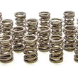 Load image into Gallery viewer, PAC Racing Springs 1.550 Dual Valve Springs (16) PAC-1245-16