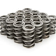 Load image into Gallery viewer, PAC Racing Springs 1.550 Dual Valve Springs (16) PAC-1325-16