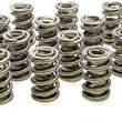 Load image into Gallery viewer, PAC Racing Springs 1.550 Dual Valve Springs (16) PAC-1326-16