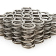 Load image into Gallery viewer, PAC Racing Springs 1.550 Dual Valve Springs (16) PAC-1343-16