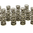 Load image into Gallery viewer, PAC Racing Springs 1.564 Dual Valve Springs (16) PAC-1386-16