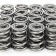 Load image into Gallery viewer, PAC Racing Springs 1.570 Dual Valve Springs 1300 Series C/T (16) PAC-1344-16