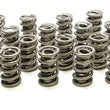 Load image into Gallery viewer, PAC Racing Springs 1.574 Dual Valve Springs (16) PAC-1395-16