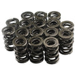Load image into Gallery viewer, PAC Racing Springs 1.625 Dual Valve Springs (16) PAC-1224-16