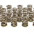 Load image into Gallery viewer, PAC Racing Springs 1.625 Dual Valve Springs (16) PAC-1228-16