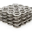 Load image into Gallery viewer, PAC Racing Springs 1.625 Dual Valve Springs (16) PAC-1328-16