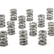 Load image into Gallery viewer, PAC Racing Springs 1.625 Dual Valve Springs (16) PAC-1324-16