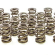 Load image into Gallery viewer, PAC Racing Springs 1.625 Dual Valve Springs (16) PAC-1228-16