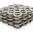 Load image into Gallery viewer, PAC Racing Springs 1.625 Dual Valve Springs (16) PAC-1328-16