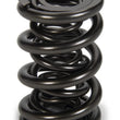 Load image into Gallery viewer, PAC Racing Springs 1.645 Triple Valve Spring (1) PAC-1248-1
