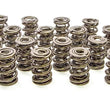 Load image into Gallery viewer, PAC Racing Springs 1.645 Triple Valve Springs (16) PAC-1247-16