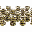 Load image into Gallery viewer, PAC Racing Springs 1.645 Triple Valve Springs (16) PAC-1347-16