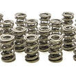 Load image into Gallery viewer, PAC Racing Springs 1.645 Triple Valve Springs (16) PAC-1350-16