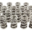 Load image into Gallery viewer, PAC Racing Springs 1.667 Triple Valve Springs (16) PAC-1351H-16