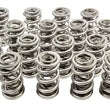 Load image into Gallery viewer, PAC Racing Springs 1.667 Triple Valve Springs (16) PAC-1351H-16
