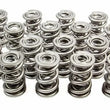 Load image into Gallery viewer, PAC Racing Springs 1.681 Triple Valve Springs  (16) PAC-1364-16