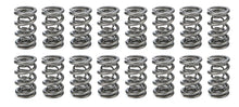 Load image into Gallery viewer, PAC Racing Springs 1.681 Triple Valve Springs  (16) PAC-1364L-16