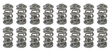Load image into Gallery viewer, PAC Racing Springs 1.681 Triple Valve Springs (16) PAC-1364M-16
