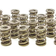 Load image into Gallery viewer, PAC Racing Springs 1.695 Triple Valve Springs (16) PAC-1353-16