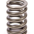 Load image into Gallery viewer, PAC Racing Springs Calibration Springs for Spring Testers PAC-T900