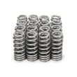Load image into Gallery viewer, PAC Racing Springs Drop-In Valve Springs (16) Ford 7.3L Godzilla PAC-1282X-16
