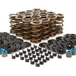 Load image into Gallery viewer, PAC Racing Springs HR Valve Spring Kits - GM LS - 1.034 PAC-KS12