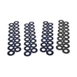 Load image into Gallery viewer, PAC Racing Springs Shim Kit - 1.250 Dia. PAC-KS93