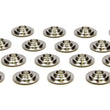 Load image into Gallery viewer, PAC Racing Springs TI Valve Spring Retainers - GM LS PAC-R455-16
