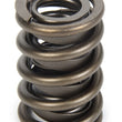 Load image into Gallery viewer, PAC Racing Springs Valve Spring - HR Series (1) PAC-1924