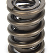 Load image into Gallery viewer, PAC Racing Springs Valve Spring - HR Series (1) PAC-1924-1