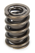 Load image into Gallery viewer, PAC Racing Springs Valve Spring - HR Series (1) PAC-1924-1