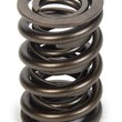 Load image into Gallery viewer, PAC Racing Springs Valve Spring - HR Series (1) PAC-1940-1